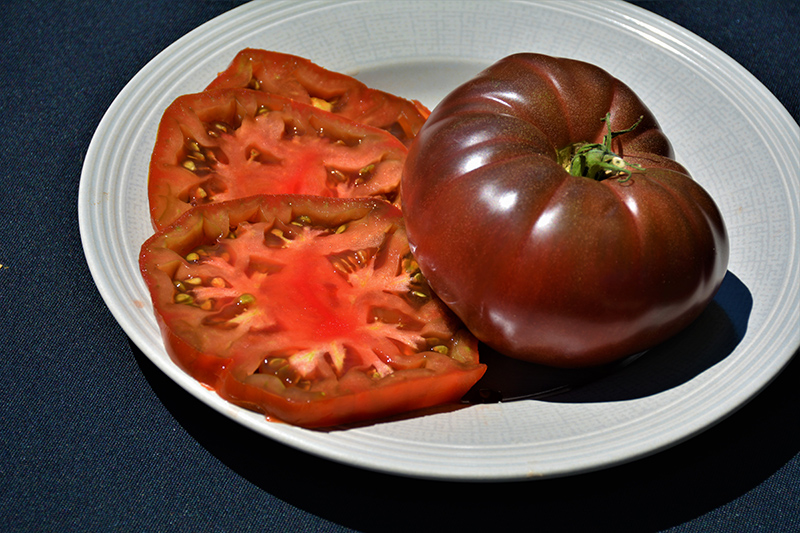 Cherokee Purple Tomato (Solanum lycopersicum 'Cherokee Purple') at Dickman Farms